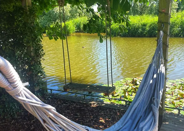 Gezellige Pipo Met Grote Schommel Aan Het Water En Hottub