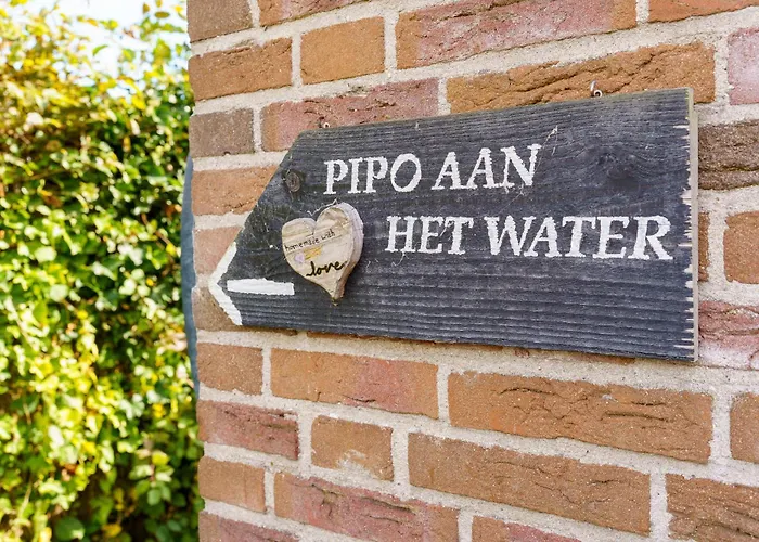 Gezellige Pipo Met Grote Schommel Aan Het Water En Hottub